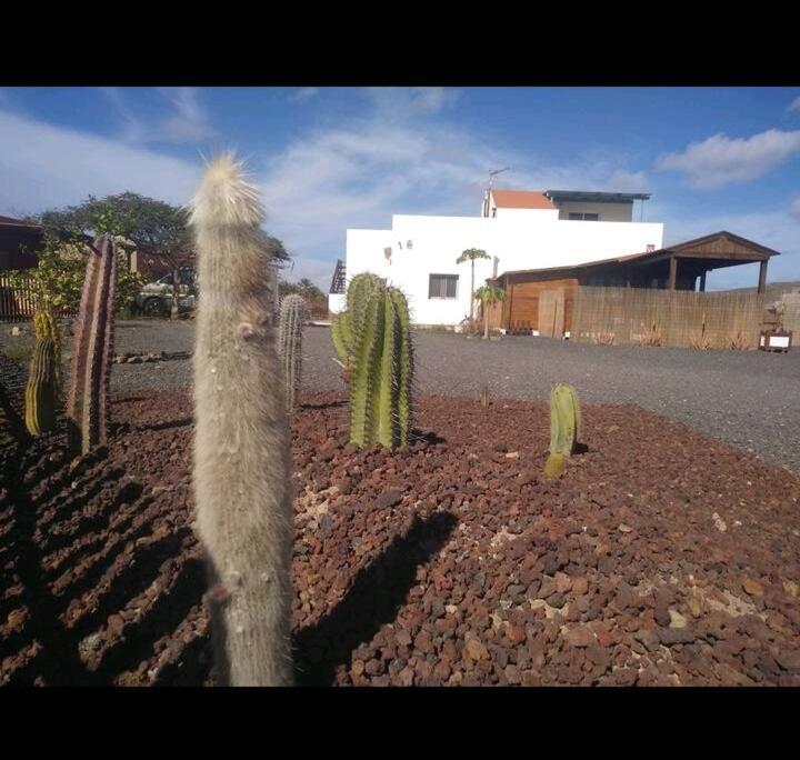 Suite Estrella Azul Gran Tarajal Esterno foto